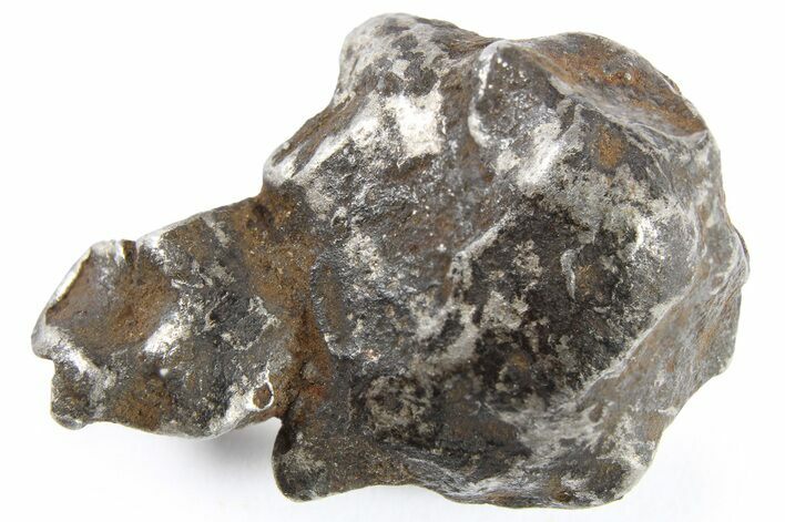 Gebel Kamil Iron Meteorite ( g) - Egypt #265401